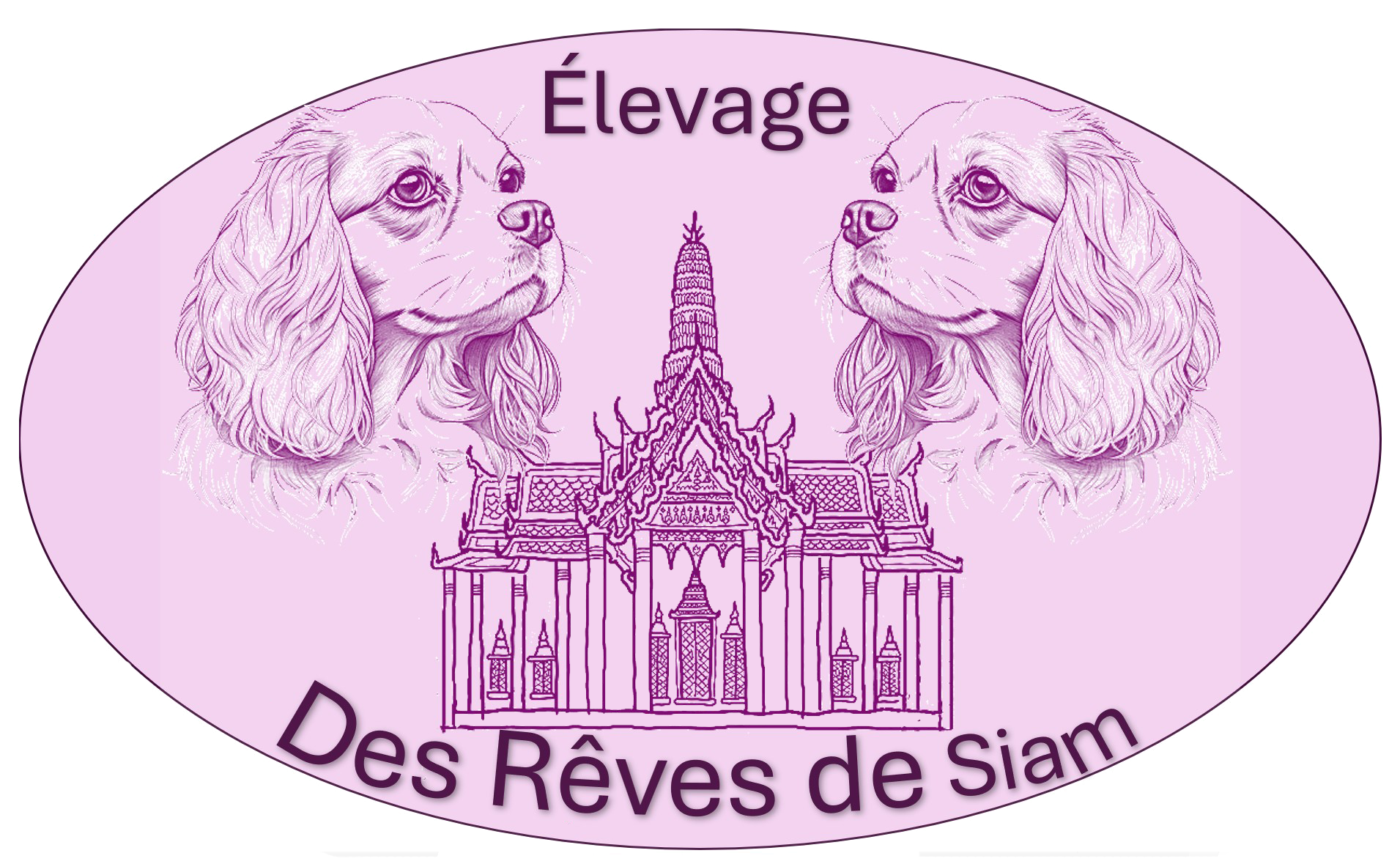 Bienvenue